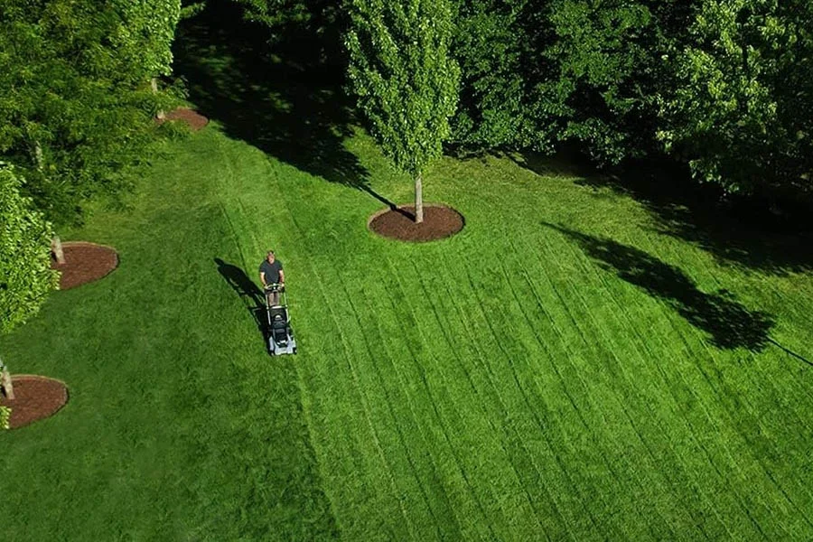 best inexpensive lawn mower
